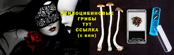 прущий лед Михайлов