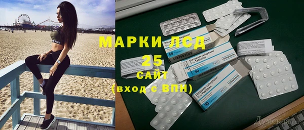 прущий лед Михайлов