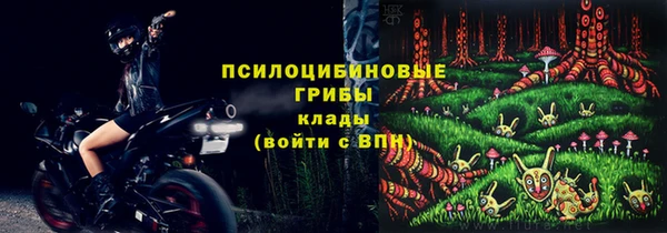 прущий лед Михайлов